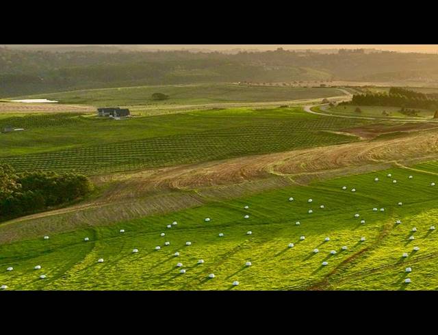 FARM FOR SALE IN MOUNT VERDE